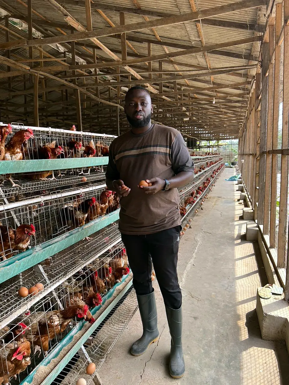 A farm owner holding two fresh eggs in front of rows of laying hens