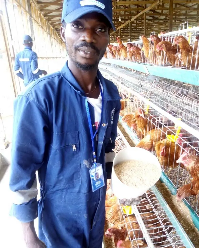 A Caritana Farms team member holding a scoop of feed beside the cages