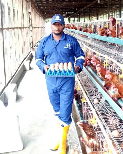 A team member in blue overalls carrying a tray of eggs along the aisle